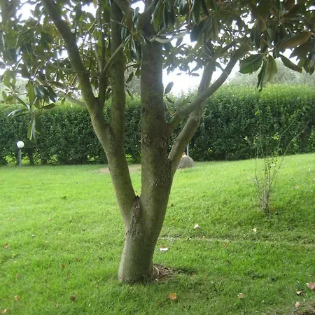 Βίλα Beautiful In Koukounara *