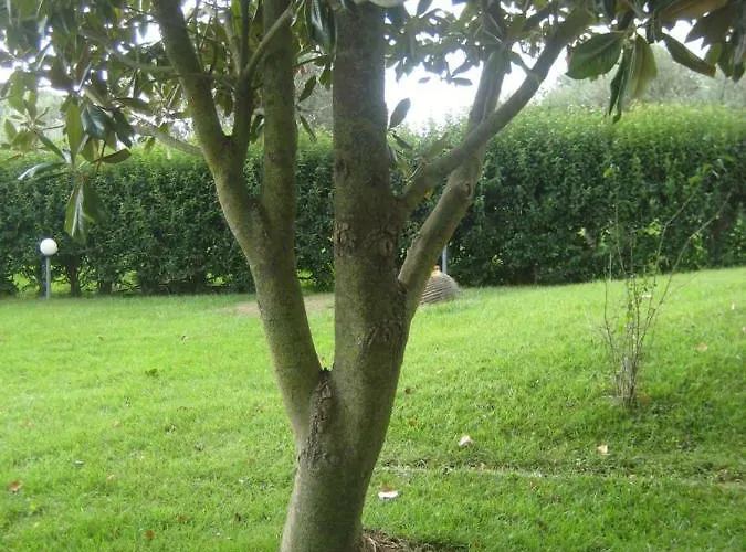 Villa Beautiful In Koukounara *